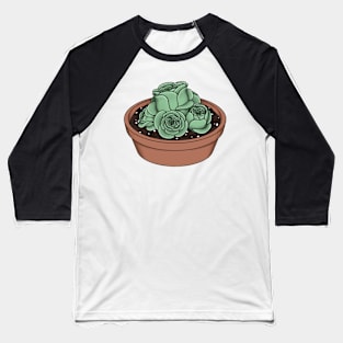 Rose Succulent - Greenovia Dodrentalis Baseball T-Shirt